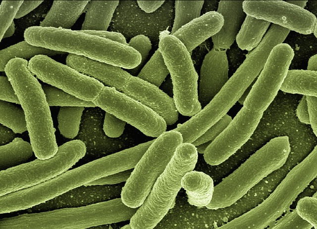 Co zabija bakterie?