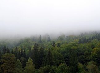 Jak zasłonić wnękę w przedpokoju?