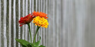 Jaki profil stalowy na ogrodzenie?