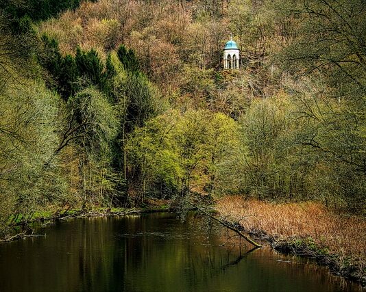 Jaki pies jest najmniej inteligentny?